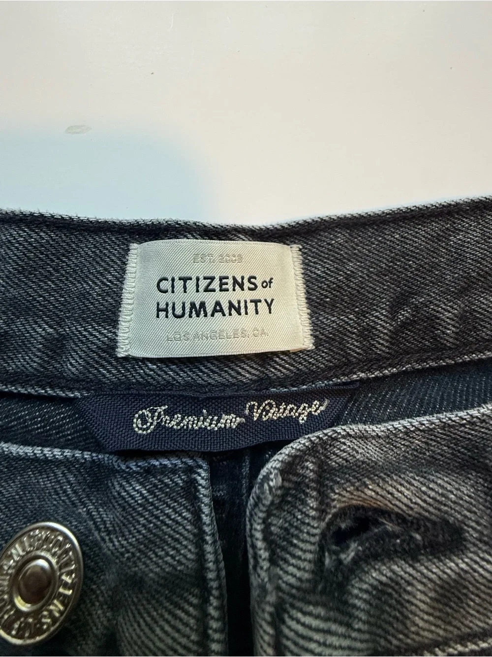 Citizens of Humanity Camilla Frayed Hem Shorts in Karma Wash | Size 28